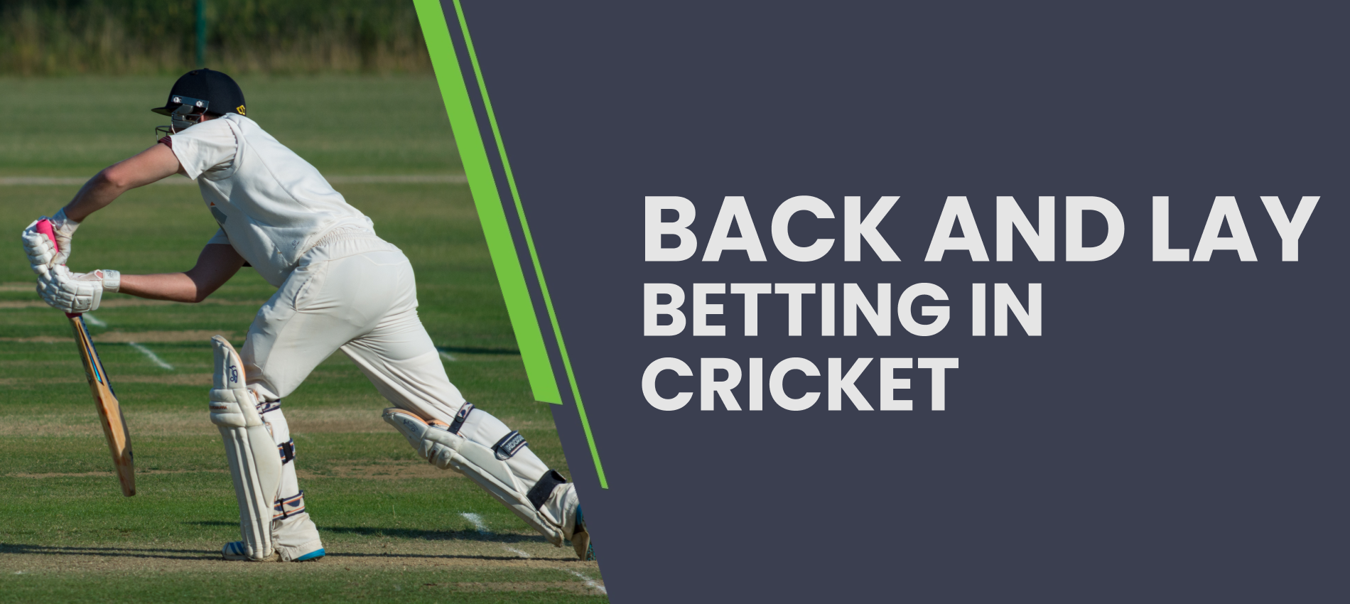 Back and Lay Cricket Betting